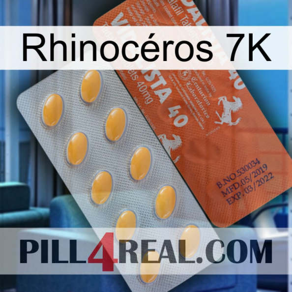 Rhinocéros 7K 43